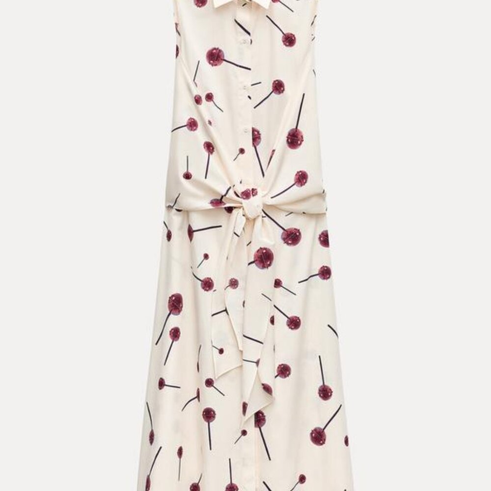 ZARA SS24 PRINTED POPLIN SHIRTDRESS ZW COLLECTION 3089/144 019/320 - Picture 6 of 11